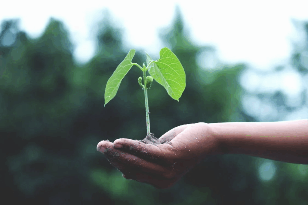 Sustainability by Design, Not by Default