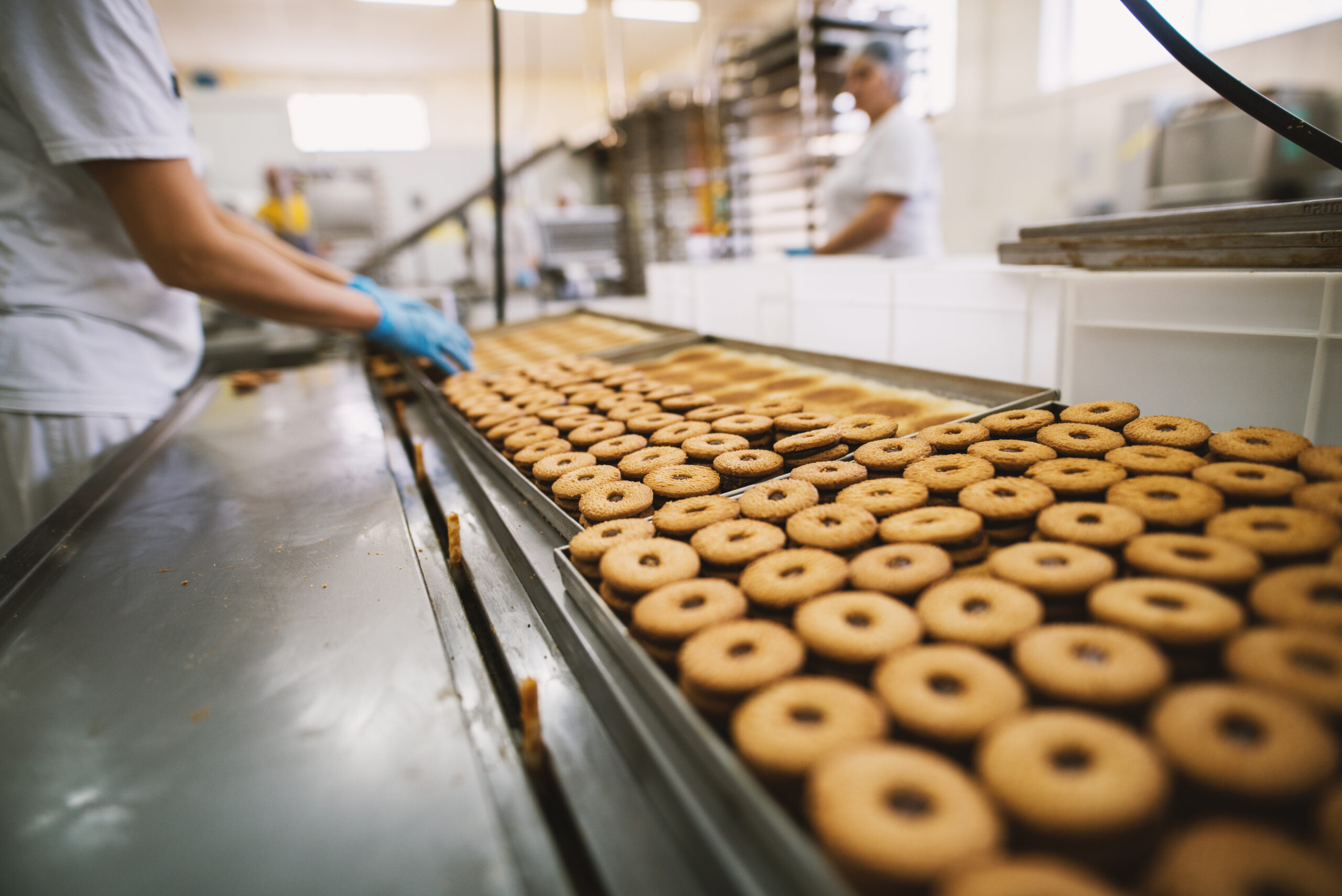 Food manufacturer preparing USDA and FSMA documentation