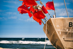 Listicles 10 Red Flags in AI Products That Erode Trust
